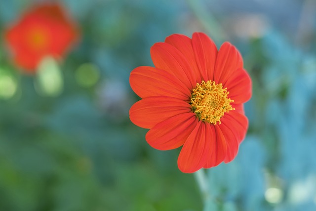 这队终于找到正确踢法